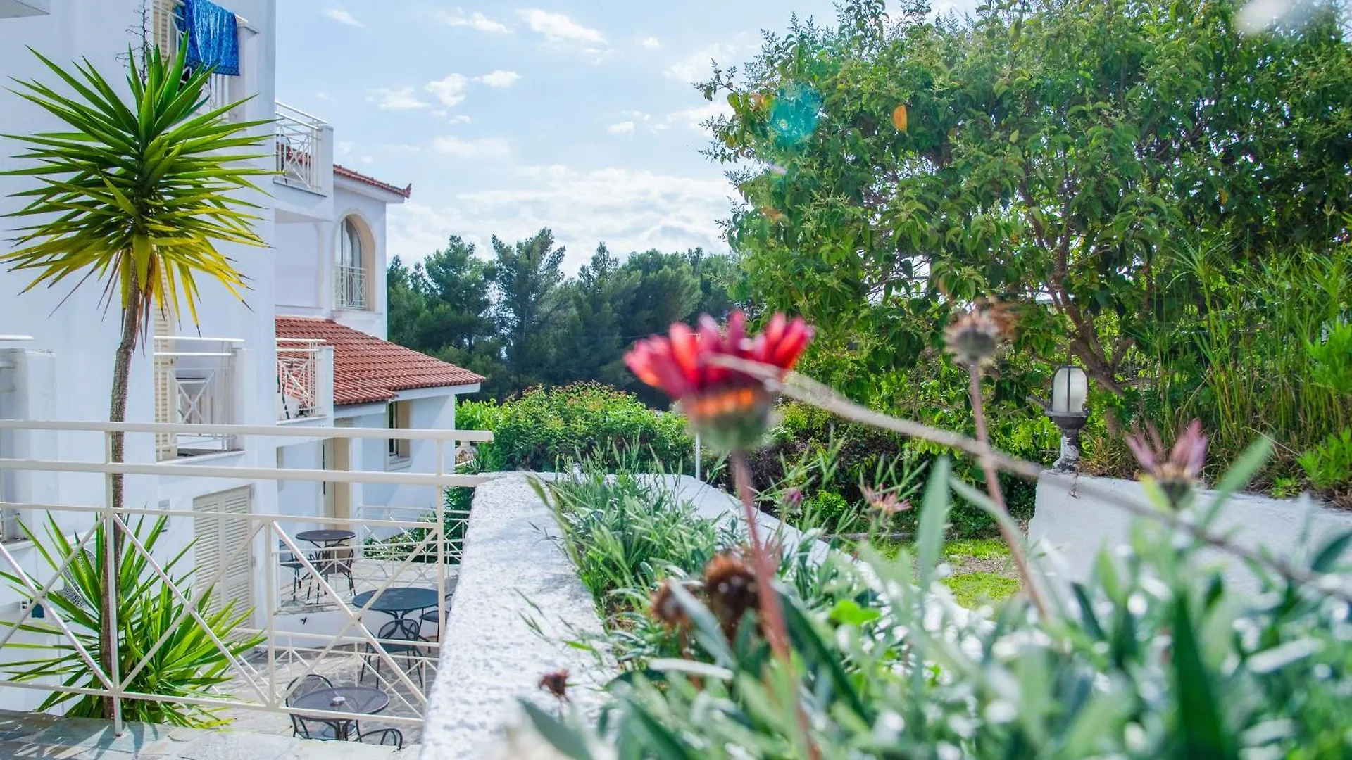 Princess Hotel Lassi  Lassi (Kefalonia)